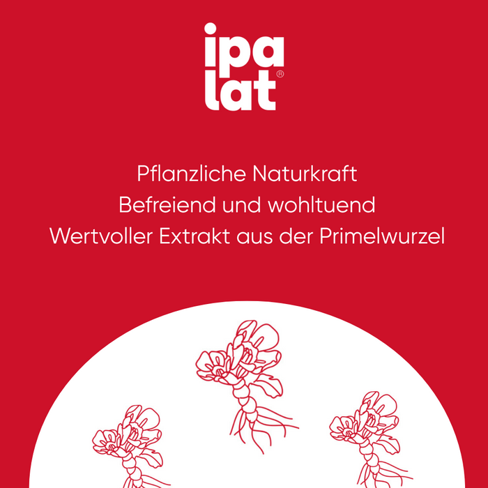 Ipalat Halspastillen Zufr, 400 St PAS